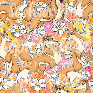 Daisy Orange (R52)