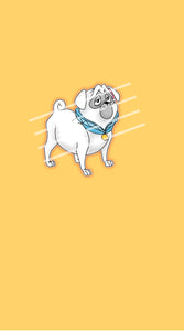 Pup Panel (R41)