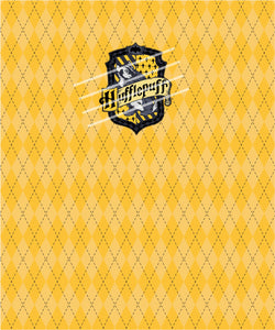 Yellow House Panel (R21)