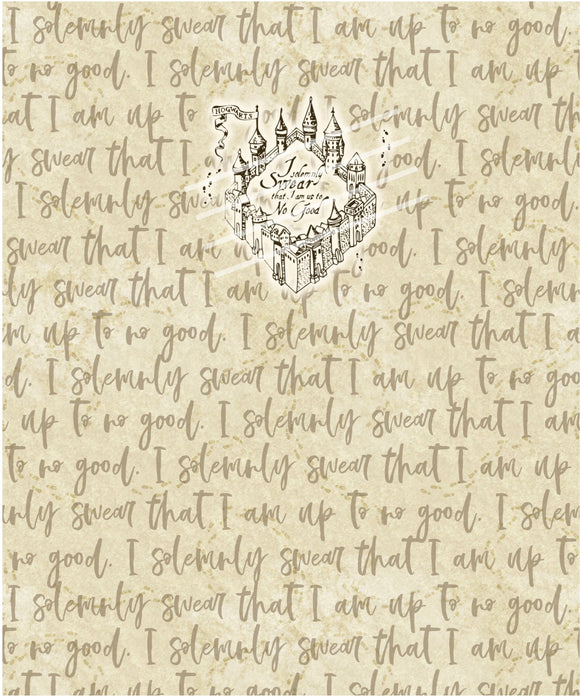 Solemnly Swear Panel (R21)
