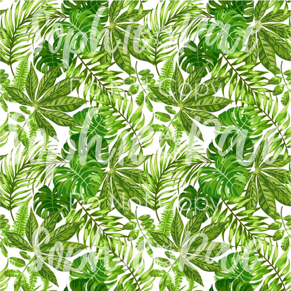 Leaves (R37)