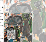 Brave Princess (R45)